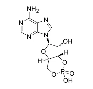 Adenosine Cyclphosphate CAS 60-92-4