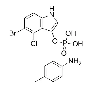 5-Bromo-4-chloro-3-indolyl Phosphate P-toluidine Salt CAS 6578-06-9