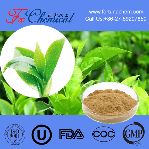Tea polyphenol CAS 84650-60-2 for sale