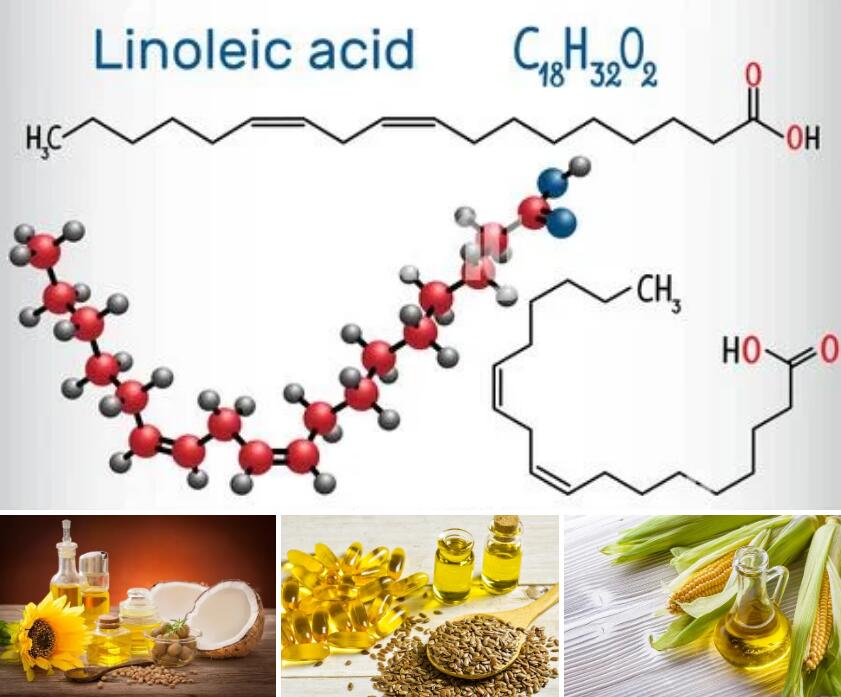 Linoleic_acid.jpg
