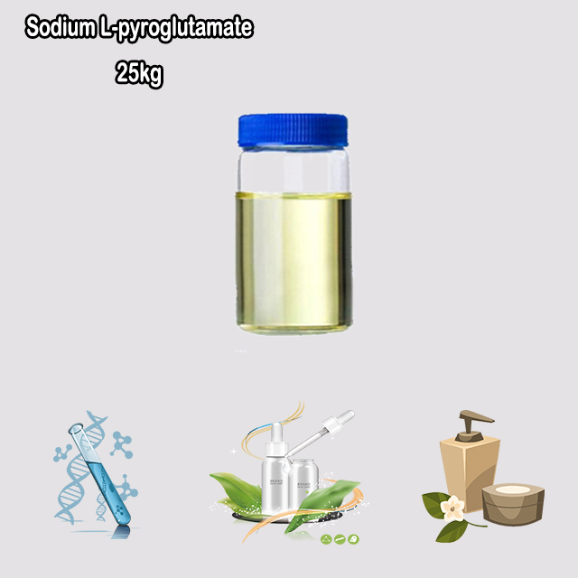 China Factory Supply High Quality Sodium PCA Liquid CAS 28874-51-3 with good price China Factory Supply High Quality Sodium PCA Liquid CAS 28874-51-3 with good price