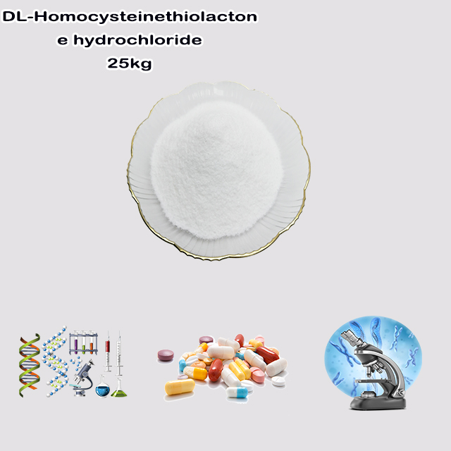 China Supplier High Quality Good Price DL-Homocysteinethiolactone hydrochloride CAS 6038-19-3 China Supplier High Quality Good Price DL-Homocysteinethiolactone hydrochloride CAS 6038-19-3