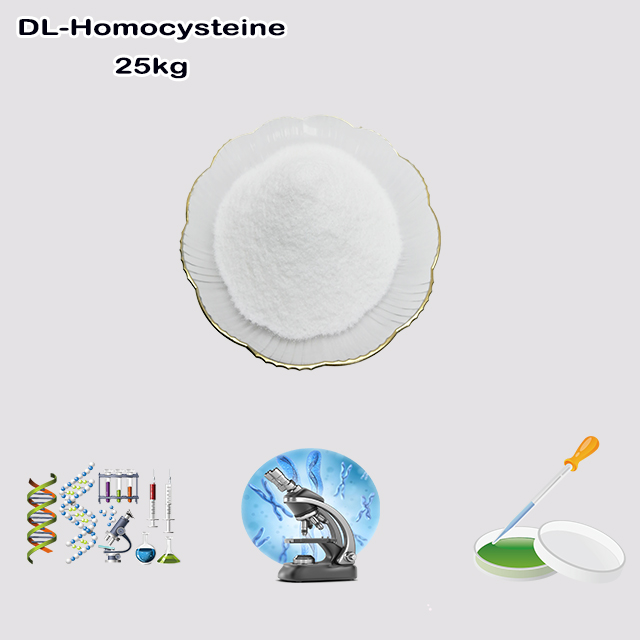 China Manufacturer Supply High Quality DL-Homocysteine CAS 454-29-5 for biochemical research China Manufacturer Supply High Quality DL-Homocysteine CAS 454-29-5 for biochemical research