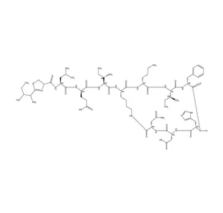 Bacitracin CAS 1405-87-4