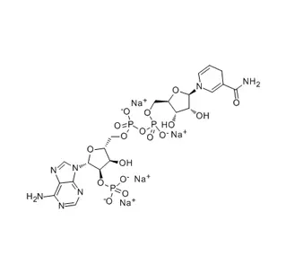 Nicotinamide Adenine Dinuclotide Phosphate Reduced Form (NADPH) CAS 2646-71-1