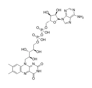 Flavin Adenine Dinucleotide CAS 146-14-5