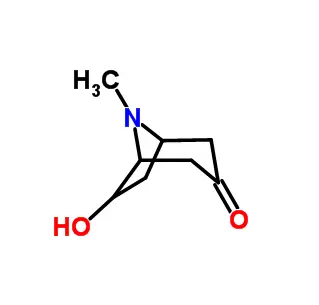 (+/-)-exo-6-Hydroxytropinone CAS 5932-53-6