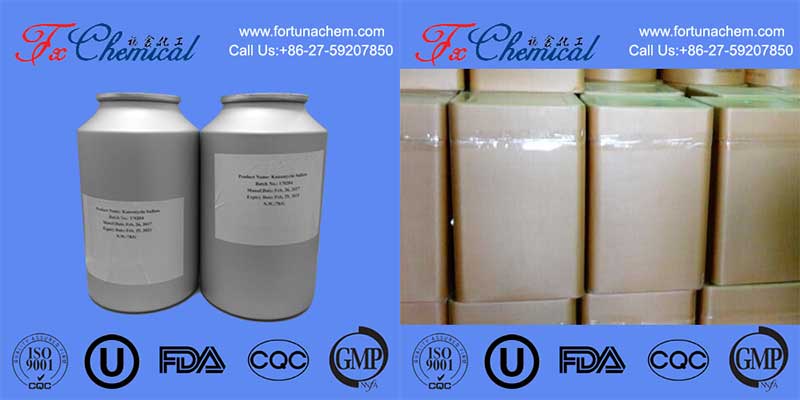 Packing of Ceftiofur hydrochloride Cas 103980-44-5