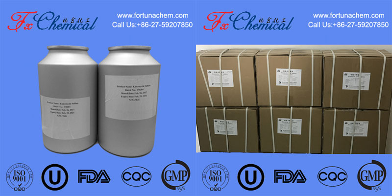Package of Cefpirome Sulfate CAS 98753-19-6