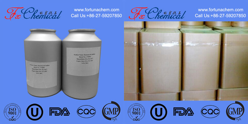 Packing Of Ceftriaxone sodium CAS 74578-69-1