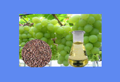 Grape seed oil CAS 8024-22-4