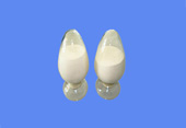 Trazodone hydrochloride CAS 25332-39-2