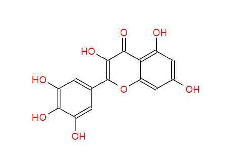 Extract Myricetin Powder CAS NO 529-44-2