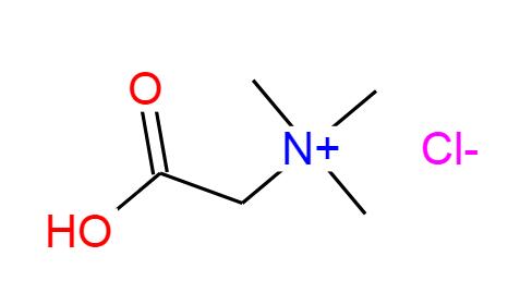 Betaine Hydrochloride CAS 590-46-5