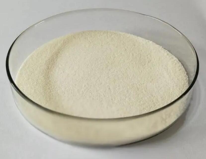 Chitosan CAS 9012-76-4 for sale