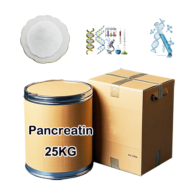 Chinese Manufacturer Supply Pancreatin CAS 8049-47-6 with best quality Chinese Manufacturer Supply Pancreatin CAS 8049-47-6 with best quality
