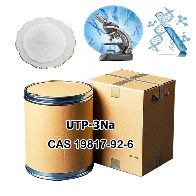 Uridine-5-triphosphoricAcid Trisodium Salt CAS 19817-92-6 Uridine-5-triphosphoricAcid Trisodium Salt CAS 19817-92-6