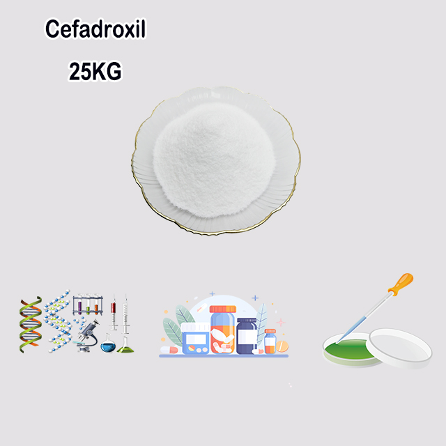 China Manufacturer Cefadroxil CAS 66592-87-8 with best quality China Manufacturer Cefadroxil CAS 66592-87-8 with best quality