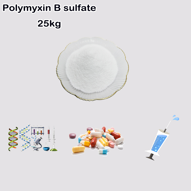 China Manufacturer Polymyxin B Sulfate CAS 1405-20-5 with good service China Manufacturer Polymyxin B Sulfate CAS 1405-20-5 with good service
