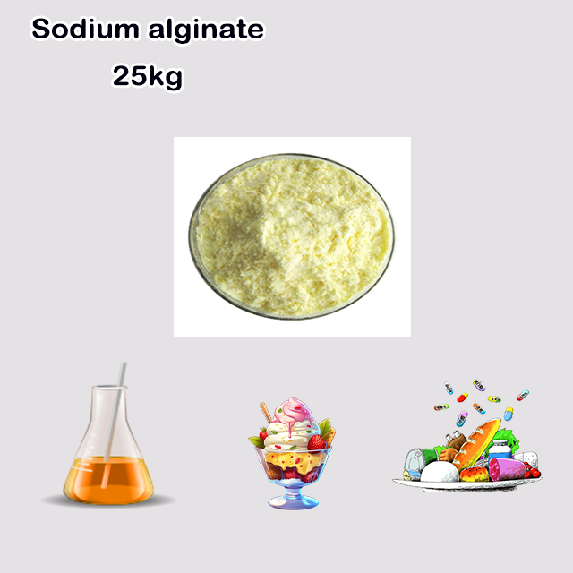 China Suppliers Sodium alginate CAS 9005-38-3 with high quality China Suppliers Sodium alginate CAS 9005-38-3 with high quality