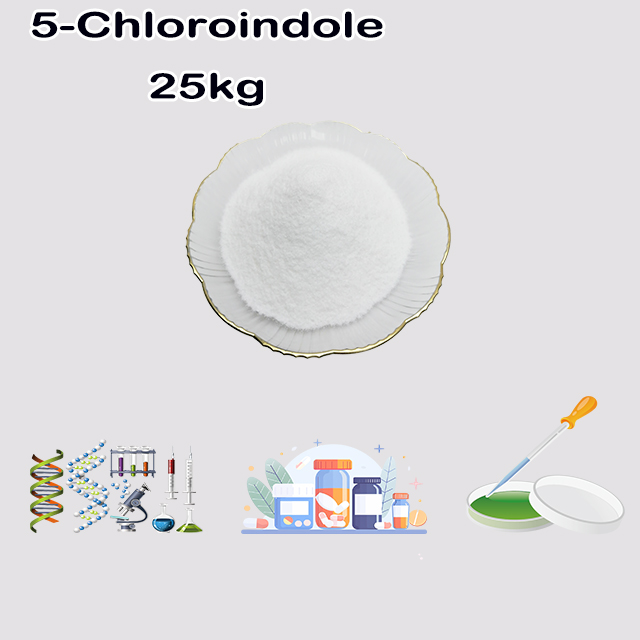 China Suppliers high quality 5-Chloroindole CAS 17422-32-1 China Suppliers high quality 5-Chloroindole CAS 17422-32-1