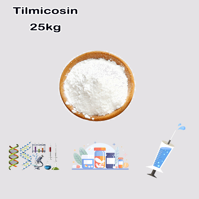 China Manufacturer Supply Tilmicosin CAS 108050-54-0 wholesale China Manufacturer Supply Tilmicosin CAS 108050-54-0 for sale