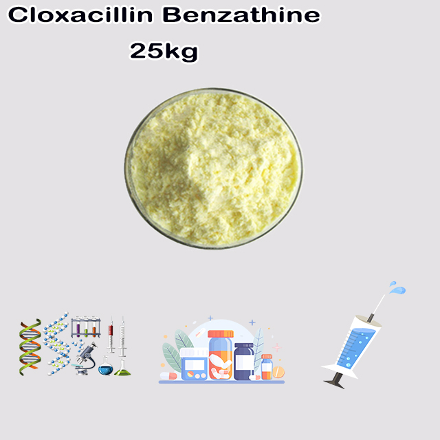 China Manufacturer Cloxacillin Benzathine CAS 23736-58-5 China Manufacturer Cloxacillin Benzathine CAS 23736-58-5