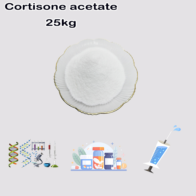 China Suppliler Cortisone Acetate CAS 50-04-4 with good price wholesale China Suppliler Cortisone Acetate CAS 50-04-4 with good price for sale