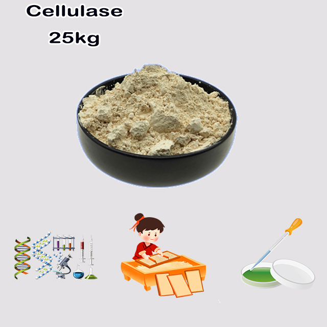 China Manufacturer hot selling Cellulase CAS 9012-54-8 China Manufacturer hot selling Cellulase CAS 9012-54-8