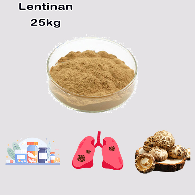 China Factory Supply Lentinan CAS 37339-90-5 China Factory Supply Lentinan CAS 37339-90-5