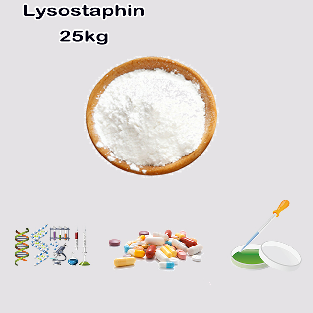 China Suppliers High quality Lysostaphin CAS 9011-93-2 China Suppliers High quality Lysostaphin CAS 9011-93-2
