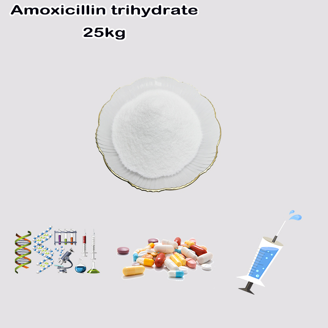Amoxicillin Trihydrate Powder uses for dogs CAS NO 61336-70-7 Active Pharmaceutical Ingredient API Amoxicillin Trihydrate Powder uses for dogs CAS NO 61336-70-7 Active Pharmaceutical Ingredient API