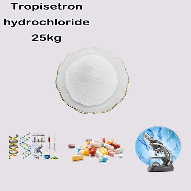 China Manufacturer Top quality Tropisetron Hydrochloride CAS 105826-92-4 China Manufacturer Top quality Tropisetron Hydrochloride CAS 105826-92-4