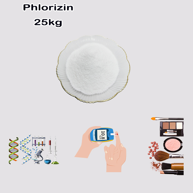 China Manufacturer High Quality Phlorizin CAS 60-81-1 China Manufacturer High Quality Phlorizin CAS 60-81-1