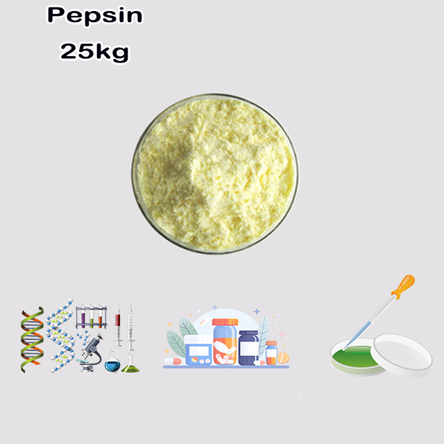 China Manufacturer Supplier Pepsin CAS 9001-75-6 with best quality China Manufacturer Supplier Pepsin CAS 9001-75-6 with best quality