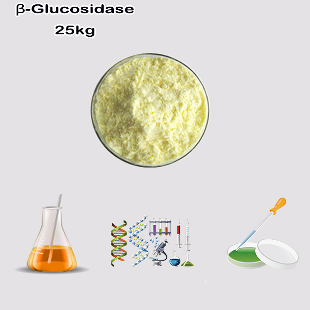 China Supplier top quality Beta-glucosidase (from Almonds) CAS 9001-22-3 with best price China Supplier top quality Beta-glucosidase (from Almonds) CAS 9001-22-3 with best price
