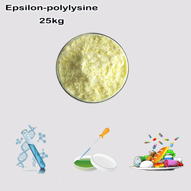 China Manufacturer Supply High Quality Epsilon-Polylusine CAS 28211-04-3 China Manufacturer Supply High Quality Epsilon-Polylusine CAS 28211-04-3
