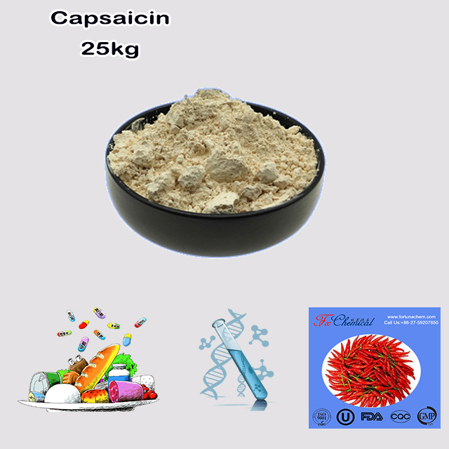 China Supplier Good Service Capsaicin Powder CAS 404-86-4 wholesale China Supplier Good Service Capsaicin Powder CAS 404-86-4 for sale