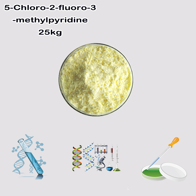 China Supplier High Quality 5-Chloro-2-fluoro-3-methylpyridine CAS 375368-84-6 China Supplier High Quality 5-Chloro-2-fluoro-3-methylpyridine CAS 375368-84-6