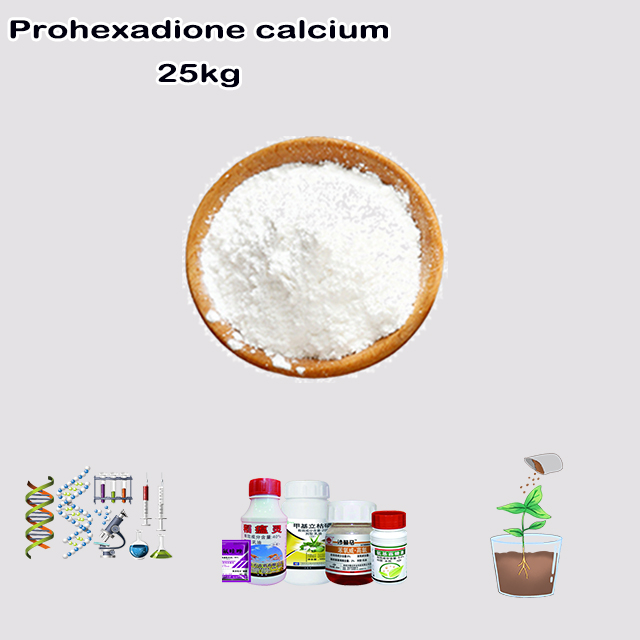 China Manufacturer Good Service High Quality Prohexadione calcium CAS 127277-53-6 China Manufacturer Good Service High Quality Prohexadione calcium CAS 127277-53-6
