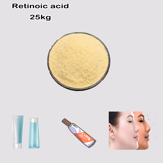 China Supplier Top Quality Good Price Tretinoin CAS 302-79-4 China Supplier Top Quality Good Price Tretinoin CAS 302-79-4