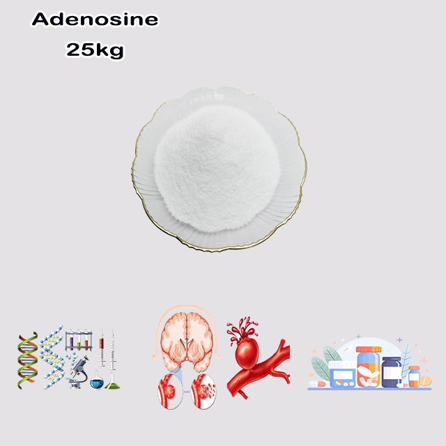 China Supplier High Quality Hot Selling Adenosine CAS 58-61-7 with Best Price wholesale China Supplier High Quality Hot Selling Adenosine CAS 58-61-7 with Best Price for sale