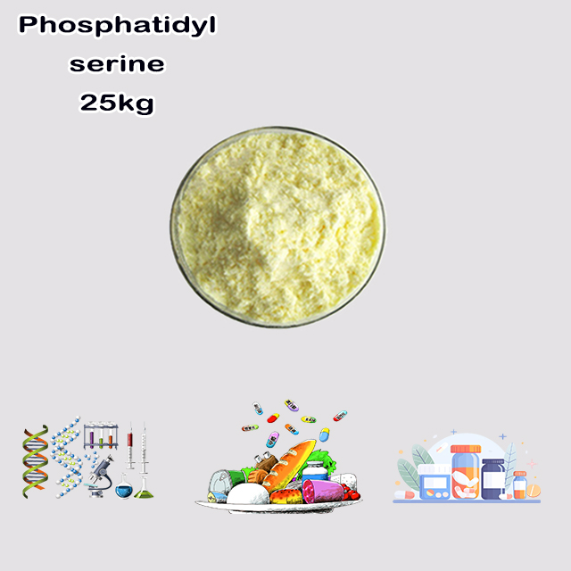 China Supplier Hot Sale High Purity Phosphatidylserine CAS 51446-62-9 China Supplier Hot Sale High Purity Phosphatidylserine CAS 51446-62-9