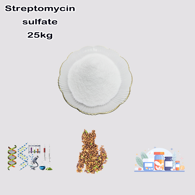 China Factory Supply High Quality Streptomycin Sulfate CAS 3810-74-0 China Factory Supply High Quality Streptomycin Sulfate CAS 3810-74-0