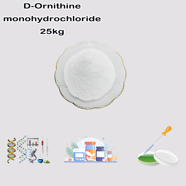 China Supplier High Quality Good Service D-Ornithine monohydrochloride CAS 16682-12-5 China Supplier High Quality Good Service D-Ornithine monohydrochloride CAS 16682-12-5