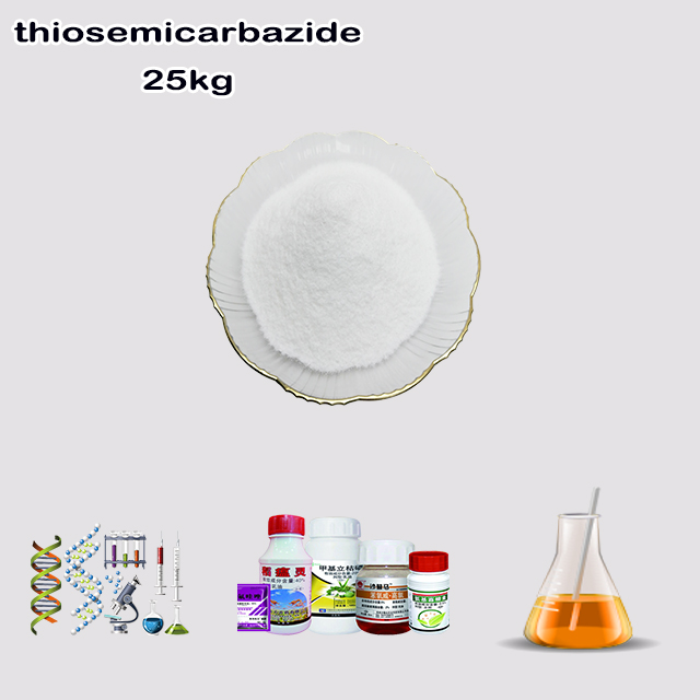 China Factory Supplier Best Quality Thiosemicarbazide CAS 79-19-6 with good service China Factory Supplier Best Quality Thiosemicarbazide CAS 79-19-6 with good service