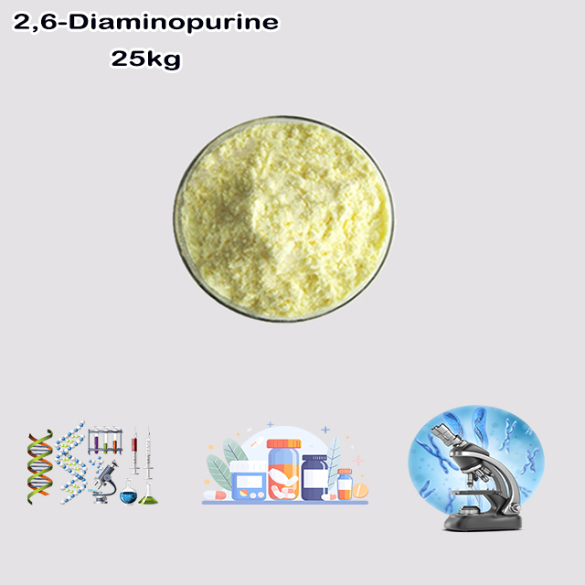 China Supplier Hot Sale Best Quality 2,6-Diaminopurine CAS 1904-98-9 China Supplier Hot Sale Best Quality 2,6-Diaminopurine CAS 1904-98-9