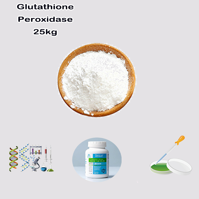 China Supplier Good Service Best Price Glutathione Peroxidase CAS 9013-66-5 China Supplier Good Service Best Price Glutathione Peroxidase CAS 9013-66-5