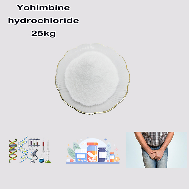 China Supplier High Quality Yohimbine Hydrochloride CAS 65-19-0 the field of medicine China Supplier High Quality Yohimbine Hydrochloride CAS 65-19-0 the field of medicine