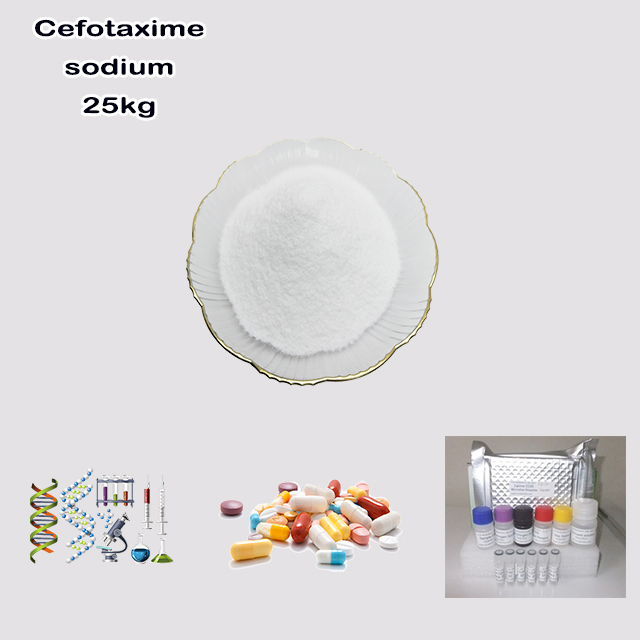 China Factory Supply High Quality Best Price Cefotaxime Sodium CAS 64485-93-4 China Factory Supply High Quality Best Price Cefotaxime Sodium CAS 64485-93-4